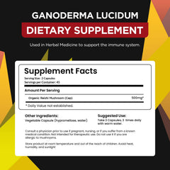Organo OGX Ganoderma lucidum capsules close-up suitable for easy daily use.