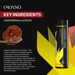 Organo OGX Ganoderma logs harvest scene indicating high-quality, undisturbed growth.