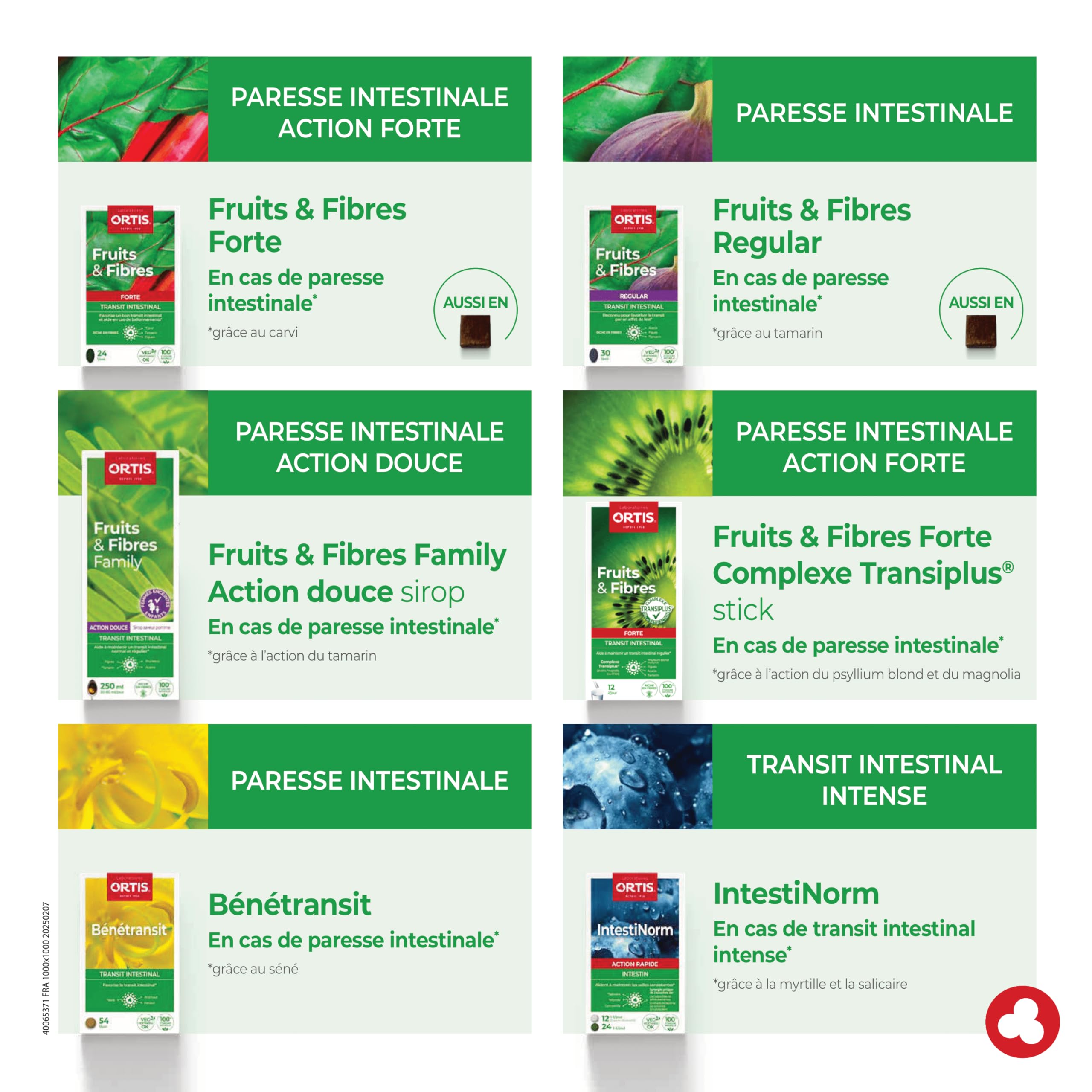 Ortis Fruits and Fibres Regular 24 cubes dates focus image emphasizes fiber-rich ingredients.