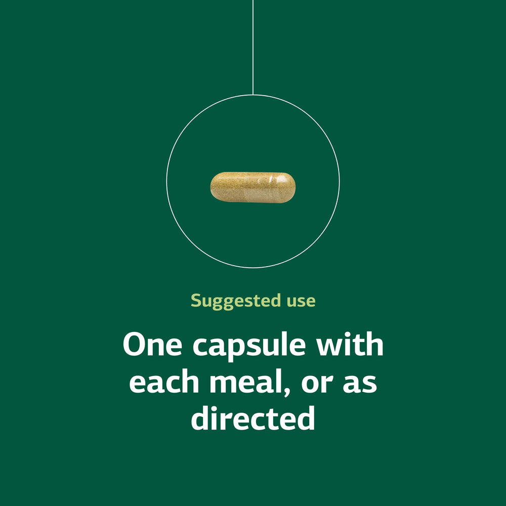 Product box front with branding signaling a whole-food approach