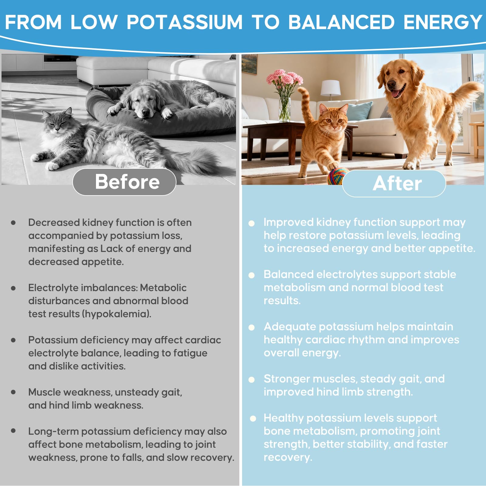 Ourea Renal K cat mealtime with powder mixed into meal