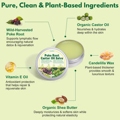 Ourea poke root salve texture close-up illustrating smooth, non-greasy absorption