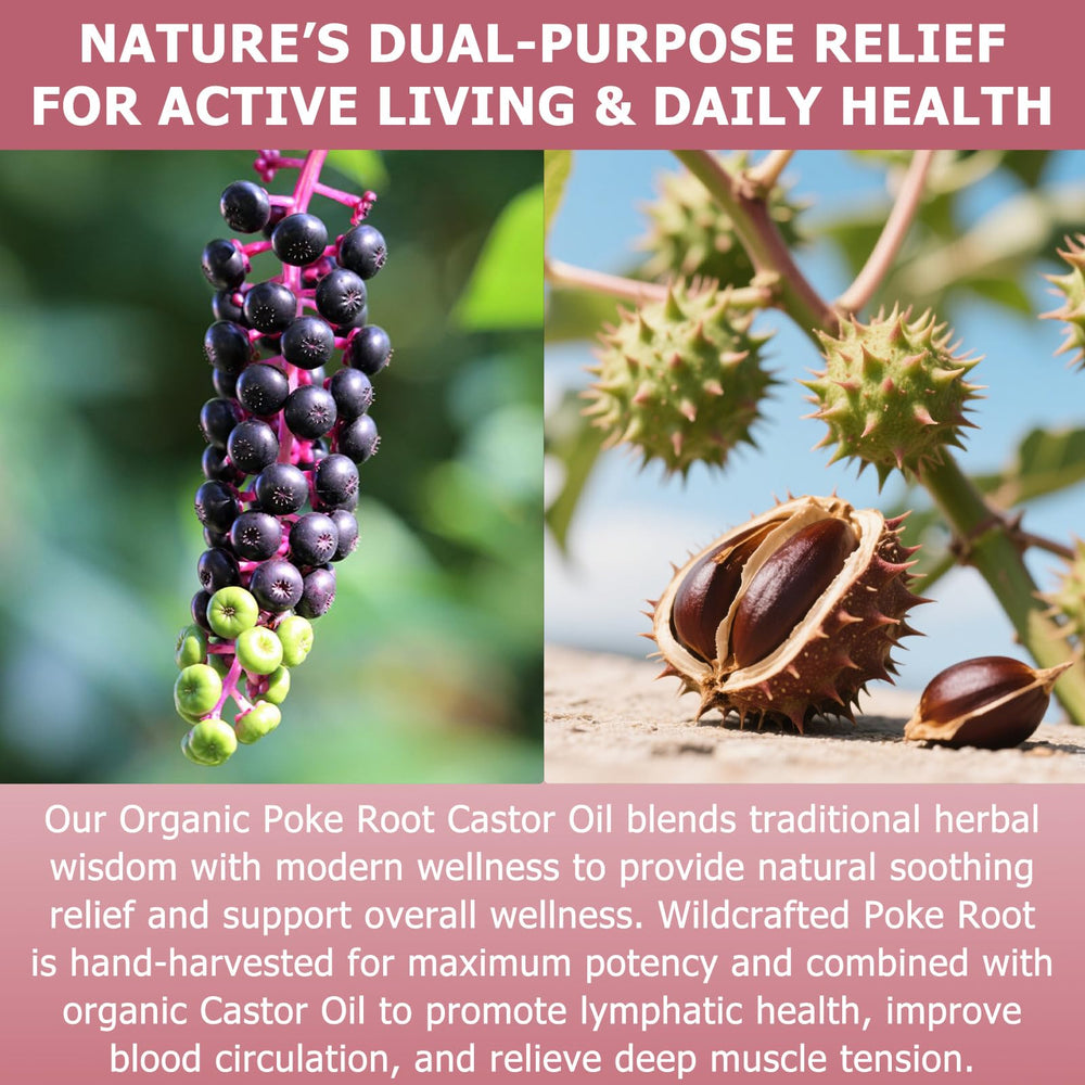 OUREA Poke Root Castor Oil used on underarm area for gentle lymphatic support
