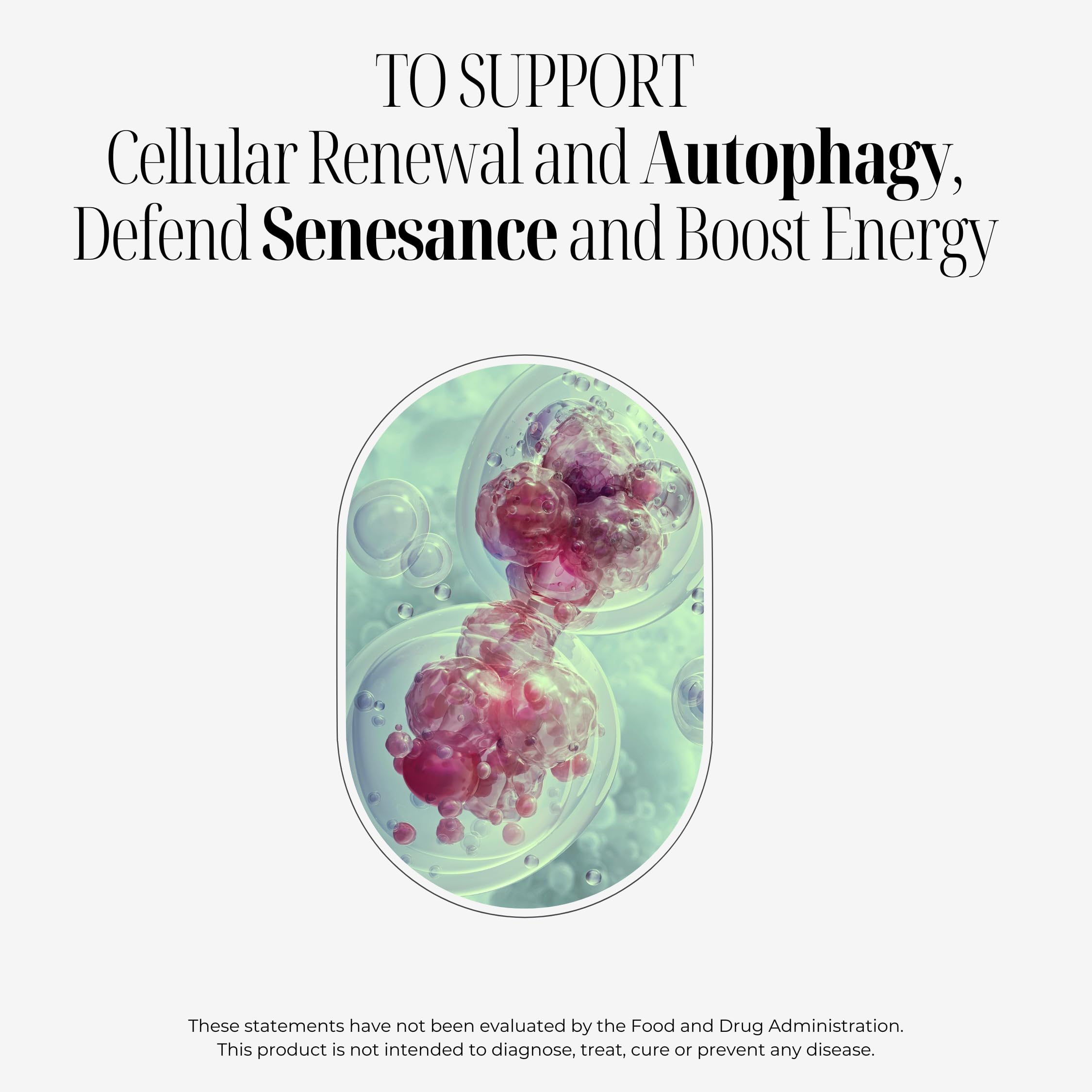 OVA Flame Beyond Beef Organs astaxanthin capsule signaling antioxidant protection