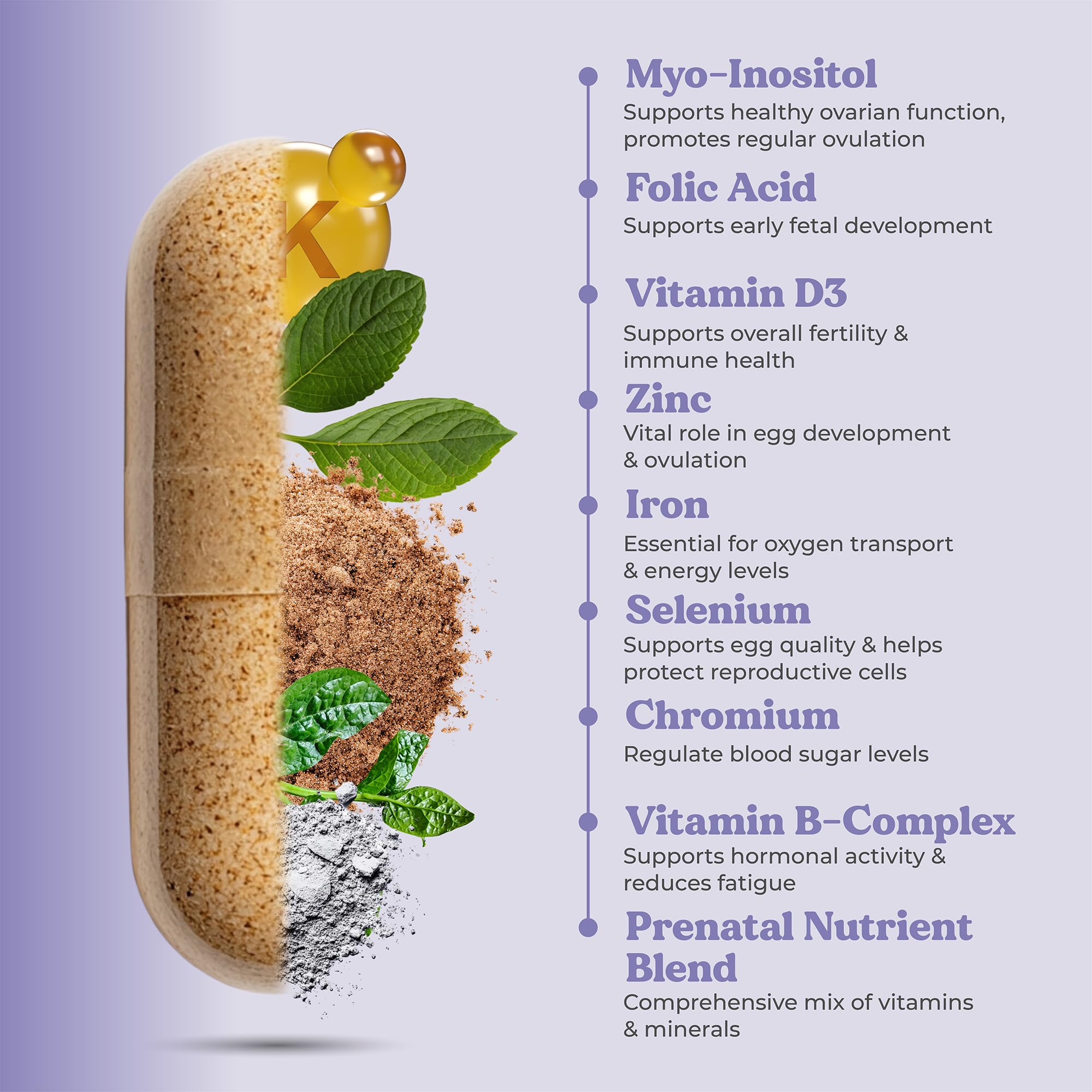 Ovalife prenatal support illustration featuring folate and B vitamins