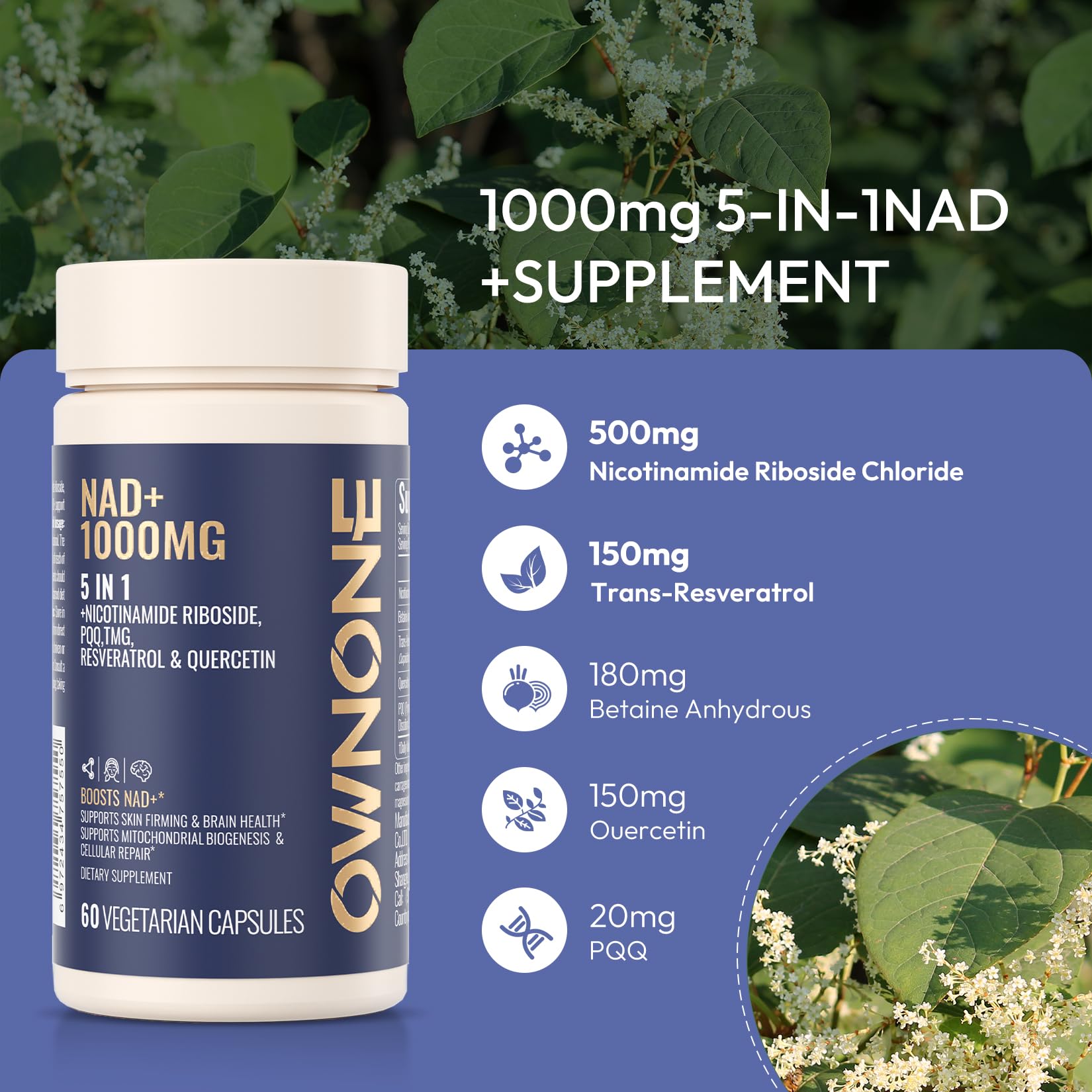 OWNONE NAD+ ingredients panel featuring resveratrol and nicotinamide riboside blend.