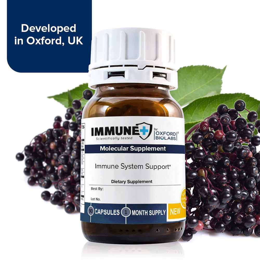 Oxford Biolabs Elderberry extract visual highlighting concentrated European source.