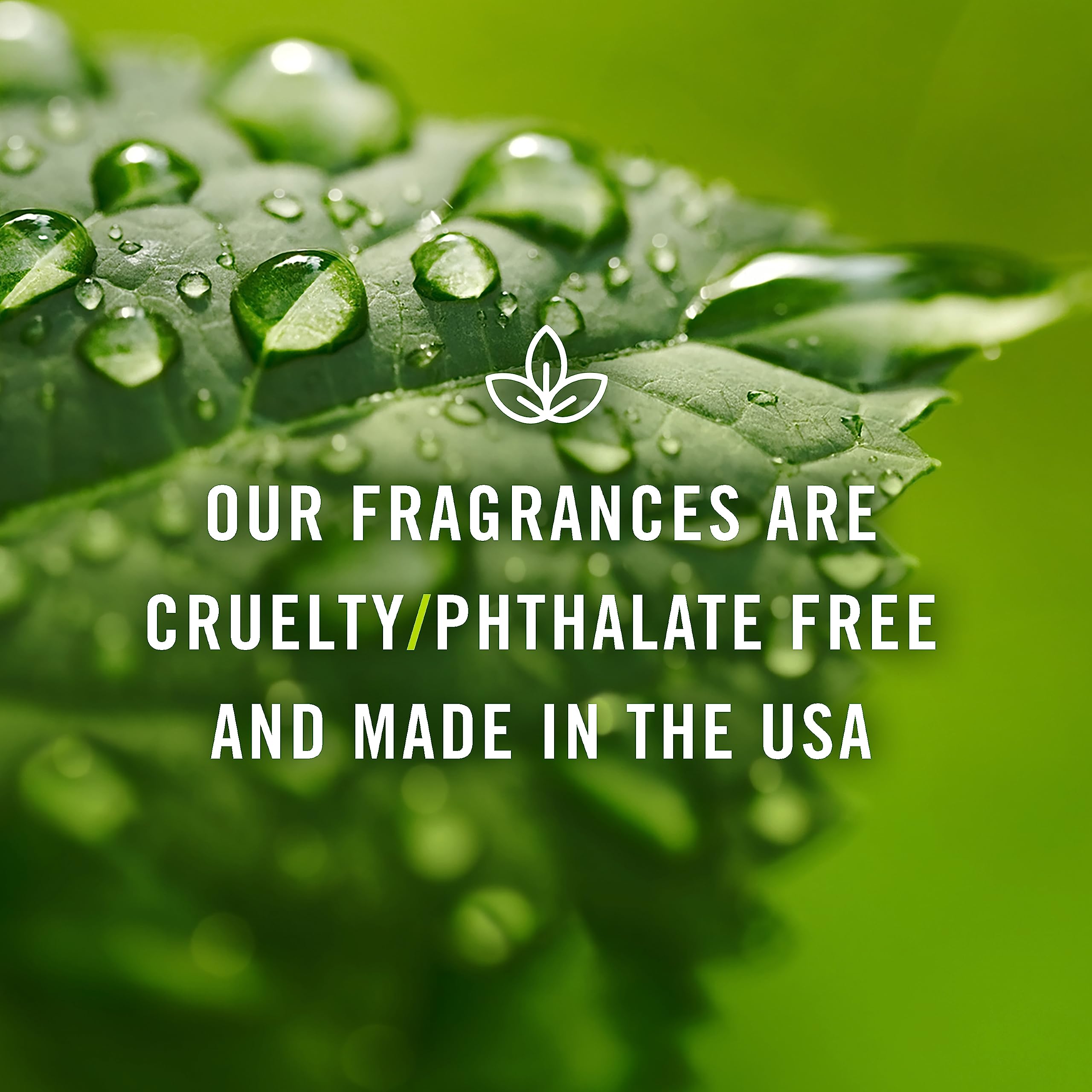 P&J Trading Vanilla bottle adds warm cozy notes to candles and lotions
