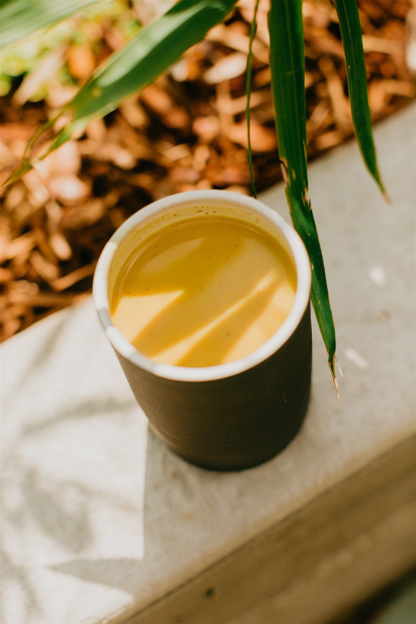 PAAVANI Organic certification seal signals clean ingredients for mindful sipping.