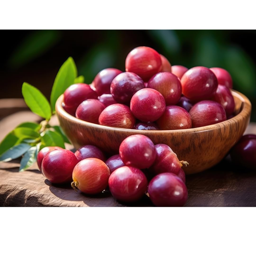 Pacha Camu Camu capsules daily use setup suitable for smoothies and beverages