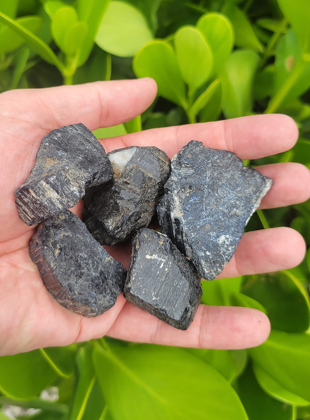 Pachamama Essentials Brazilian black tourmaline raw stone bulk, natural variation for EMF shielding.