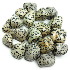 Pachamama Essentials Dalmatian Jasper close-up showing black tourmaline flecks for energy protection.