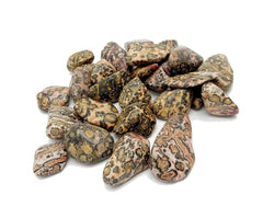 Pachamama Essentials Leopardskin Jasper stones in meditation aiding vitality