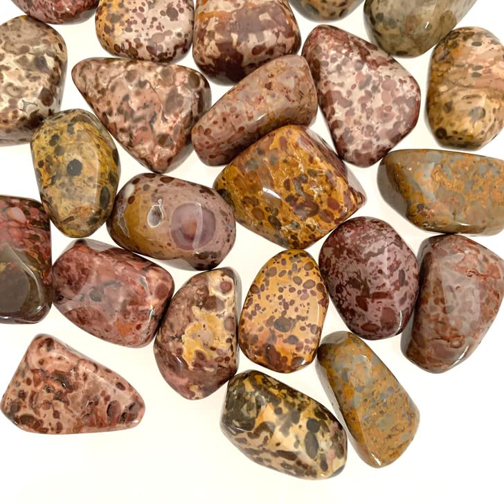 Pachamama Essentials Leopardskin Jasper close-up highlighting protective energy for rituals