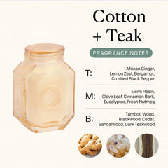 Paddywax Botanica top-notes ginger-lemon image evokes refreshing vibes.
