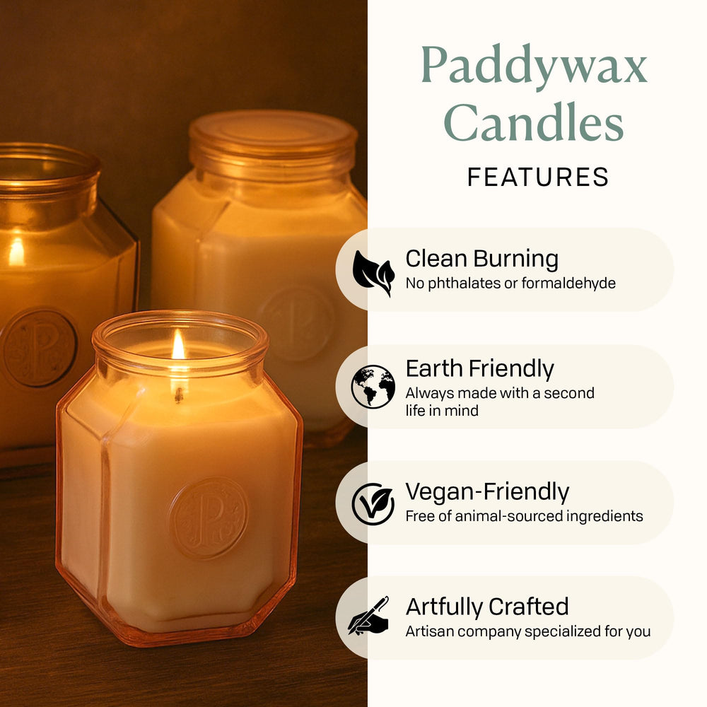 Paddywax Botanica warm-wood spices create inviting living spaces.