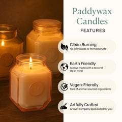 Paddywax Botanica lid with gasket seals for a clean, lasting fragrance.