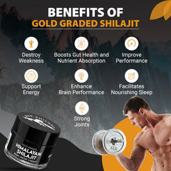 PakShilajit gold graded shilajit resin closeup highlights natural purity and texture