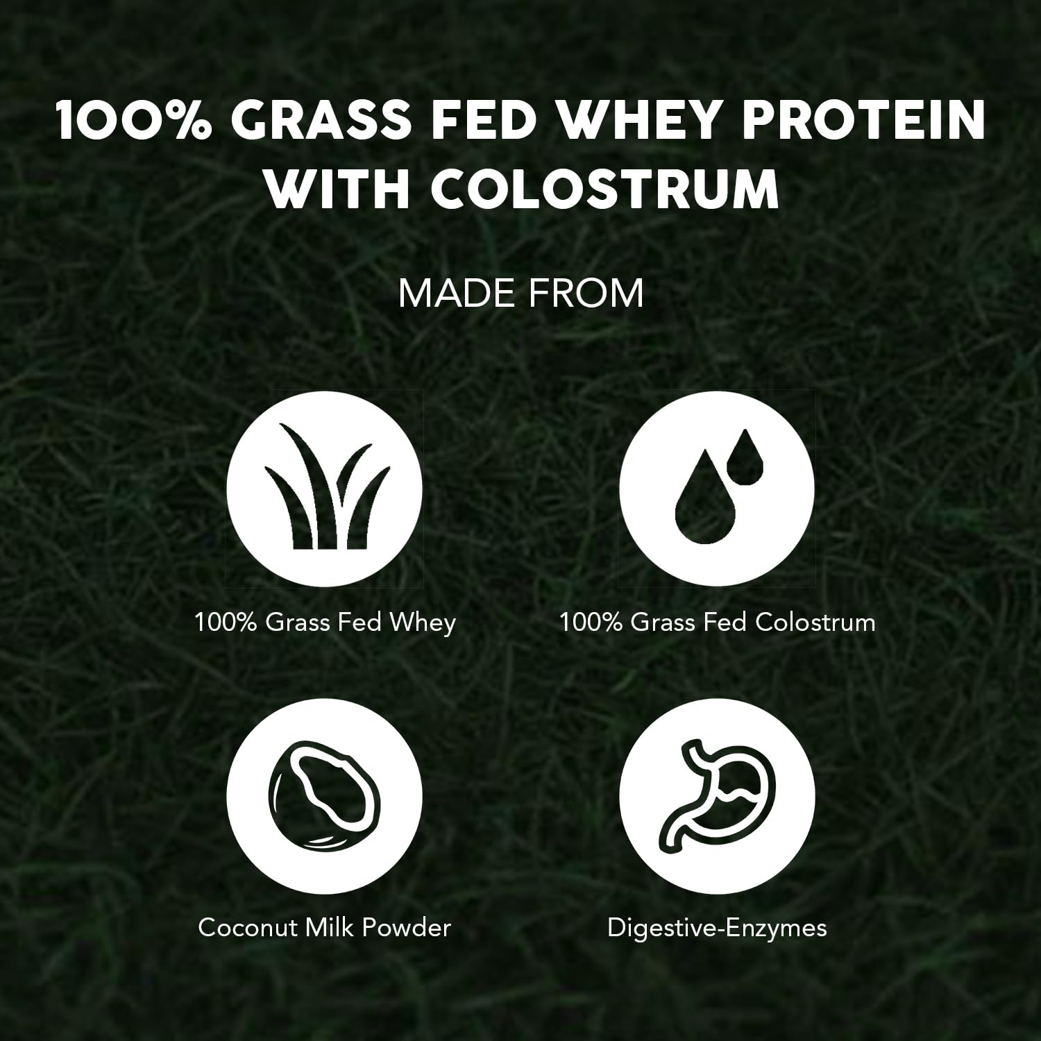 Paleovalley colostrum powder tub highlighting immune and gut-friendly ingredients.