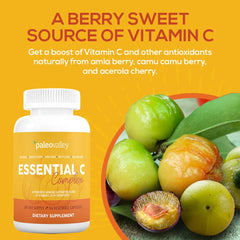 Paleovalley Essential C Complex camu camu berry source of natural vitamin C