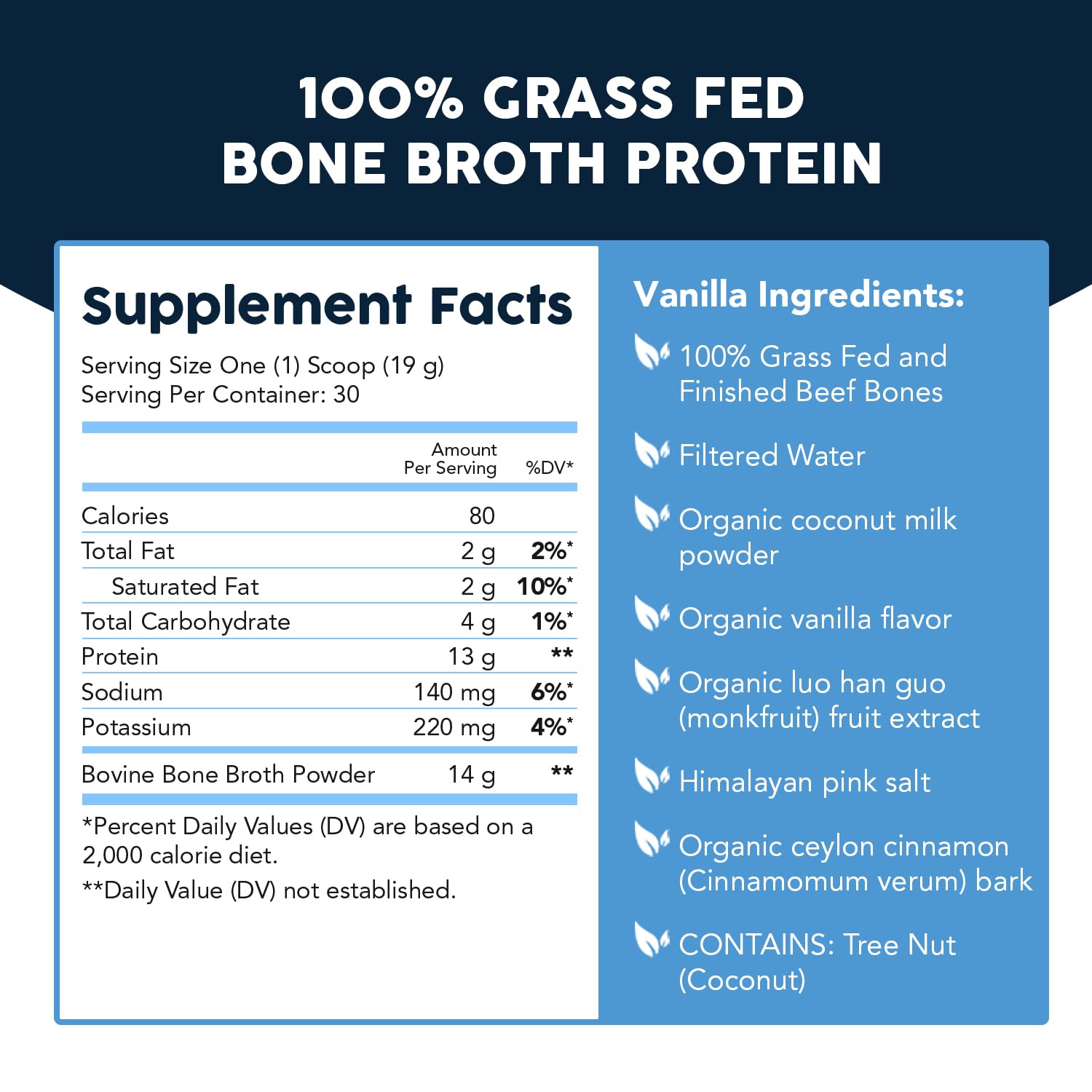 Paleovalley grass-fed cattle on pasture highlighting sustainable sourcing