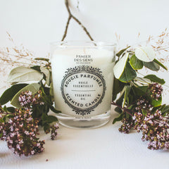 Panier des Sens Verbena Candle closeup wax shows high-quality cream blend