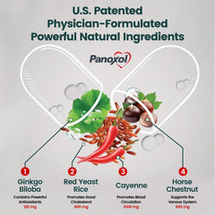 Panoxol with gingko biloba visual highlights herbal ingredient for circulation