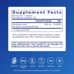 Pantothenic Acid capsules close-up highlighting smooth texture for everyday supplement routine.