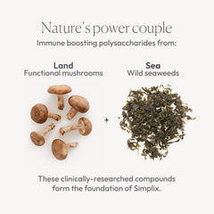 Papillex Simplix mushroom polysaccharides highlight natural ingredients for immune support.