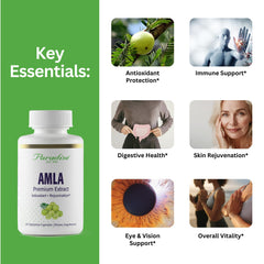 Paradise Herbs Amla bottle label showing GMP-certified quality and natural antioxidant benefits.