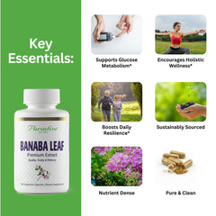 Paradise Herbs Banaba capsules pour showing easy daily use for wellness.