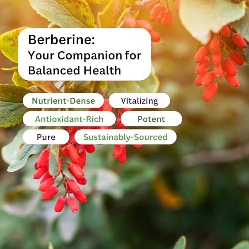 Paradise Herbs berberine capsules pour image suggests easy daily dosing.