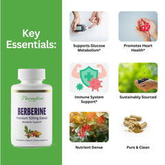 Close-up of Paradise Herbs Berberine Extract capsules for easy daily dosing.