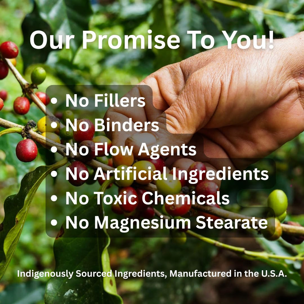 Paradise Herbs Earths Blend B-Complex superfoods mix suggests antioxidant power from greens and berries