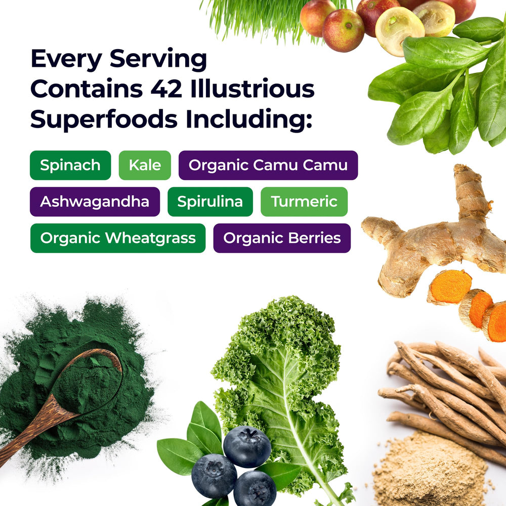 Paradise Herbs ORAC Energy capsules label close displaying organic ingredients.