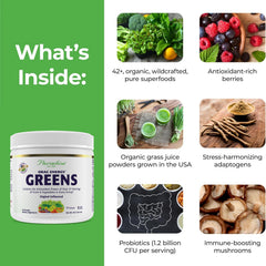 Paradise Herbs ORAC Energy Greens spirulina-chlorella close-up highlights powerhouse greens ingredients.