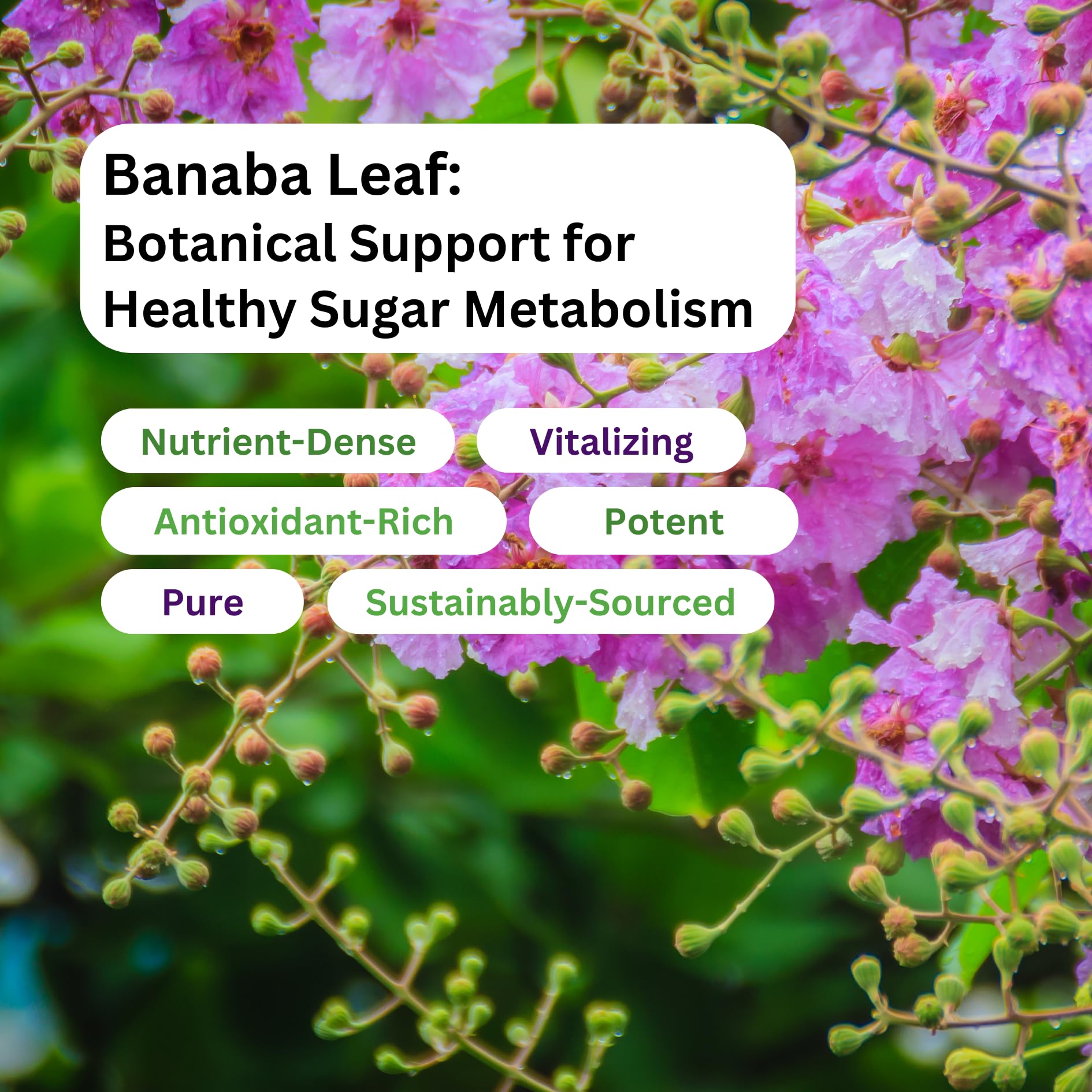 Paradise Herbs vegan gluten-free non-GMO label on bottle.
