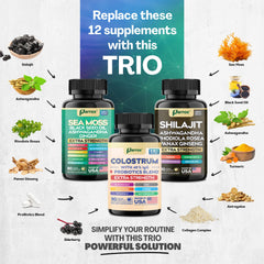 Parrox Colostrum Probiotics 8-in-1 blend supports gut health and immune foundations