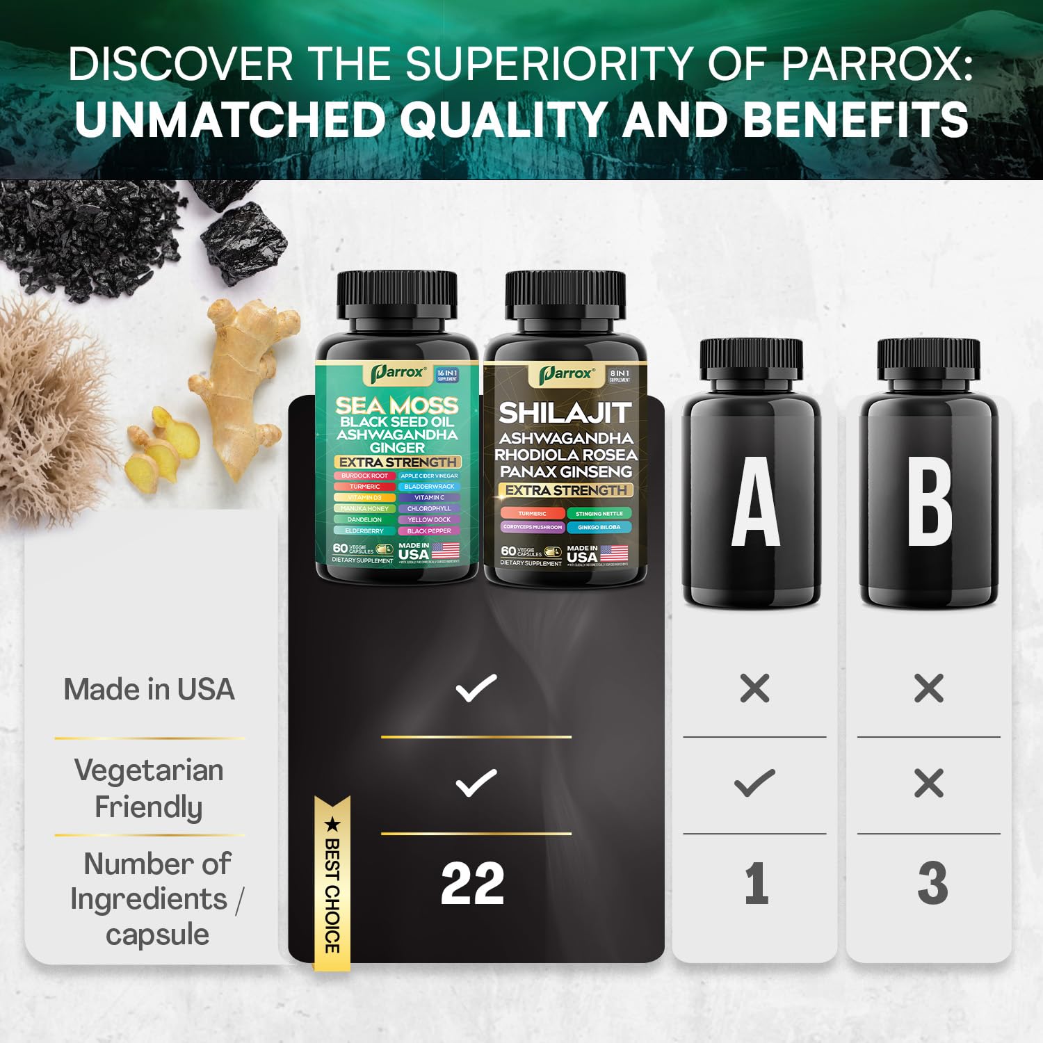 Parrox daily routine setup promotes consistency and balance