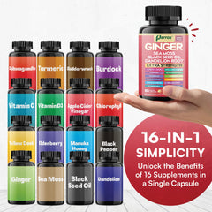 Parrox Ginger 16-in-1 ashwagandha root detail for balanced daily energy.