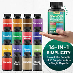 Illustration of Parrox 16-in-1 ingredients beside capsules.