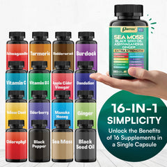 Parrox Sea Moss capsules pour shot illustrating easy daily dosage.
