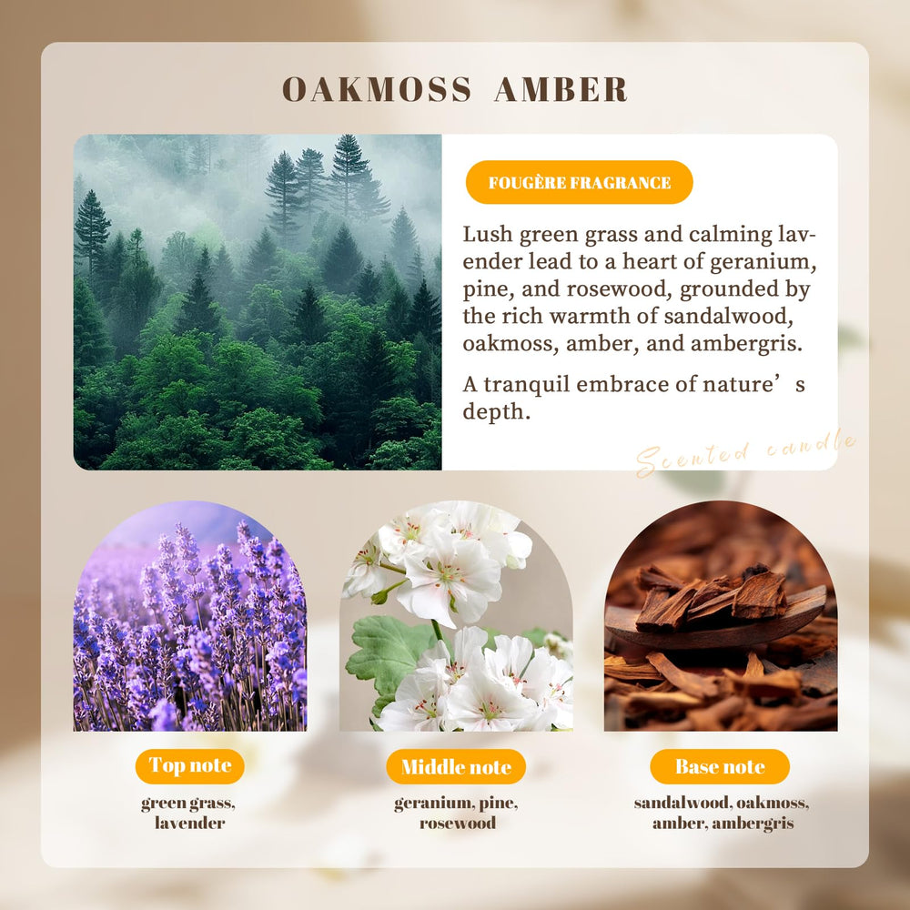 PARTYHIPPO oakmoss amber scent highlights warm earthy fragrance