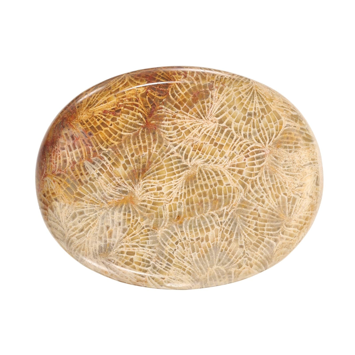 PATIKIL Thumb Worry Stone Flower Brown with smooth, calming touch for handheld use.