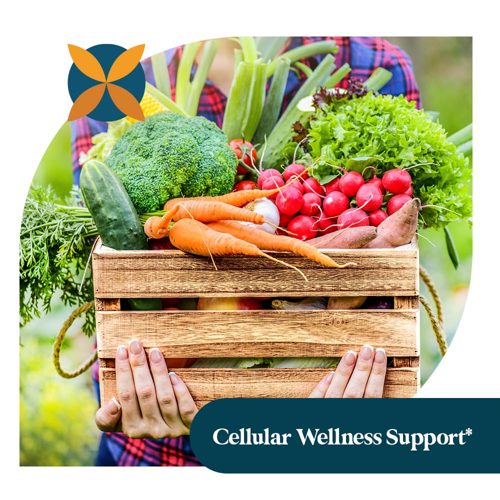 Pattern Wellness capsules easy to swallow for everyday routines