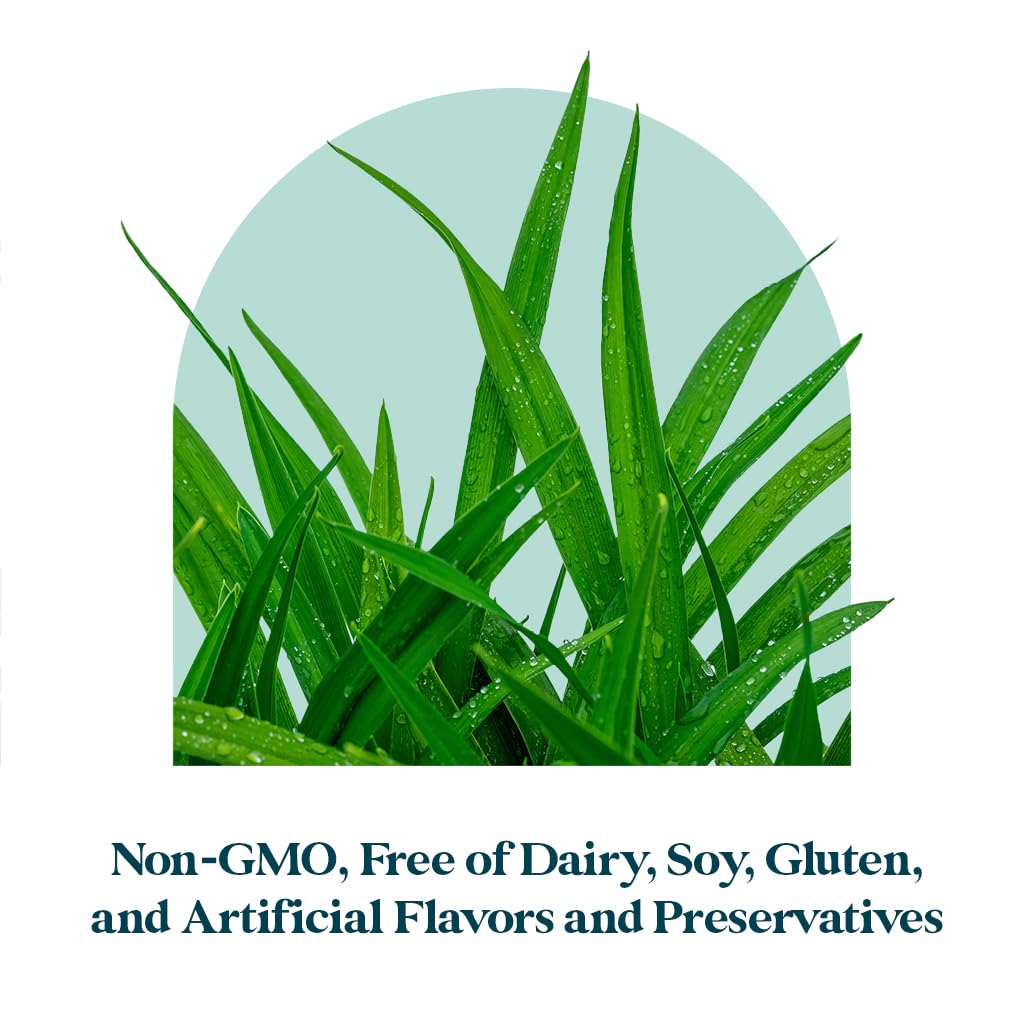 Pattern Wellness Prenatal ginger root for digestive support during pregnancy