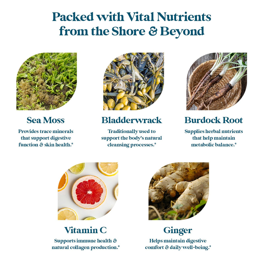 Pattern Wellness Sea Moss Complex ginger root image emphasizes flavor and digestive comfort