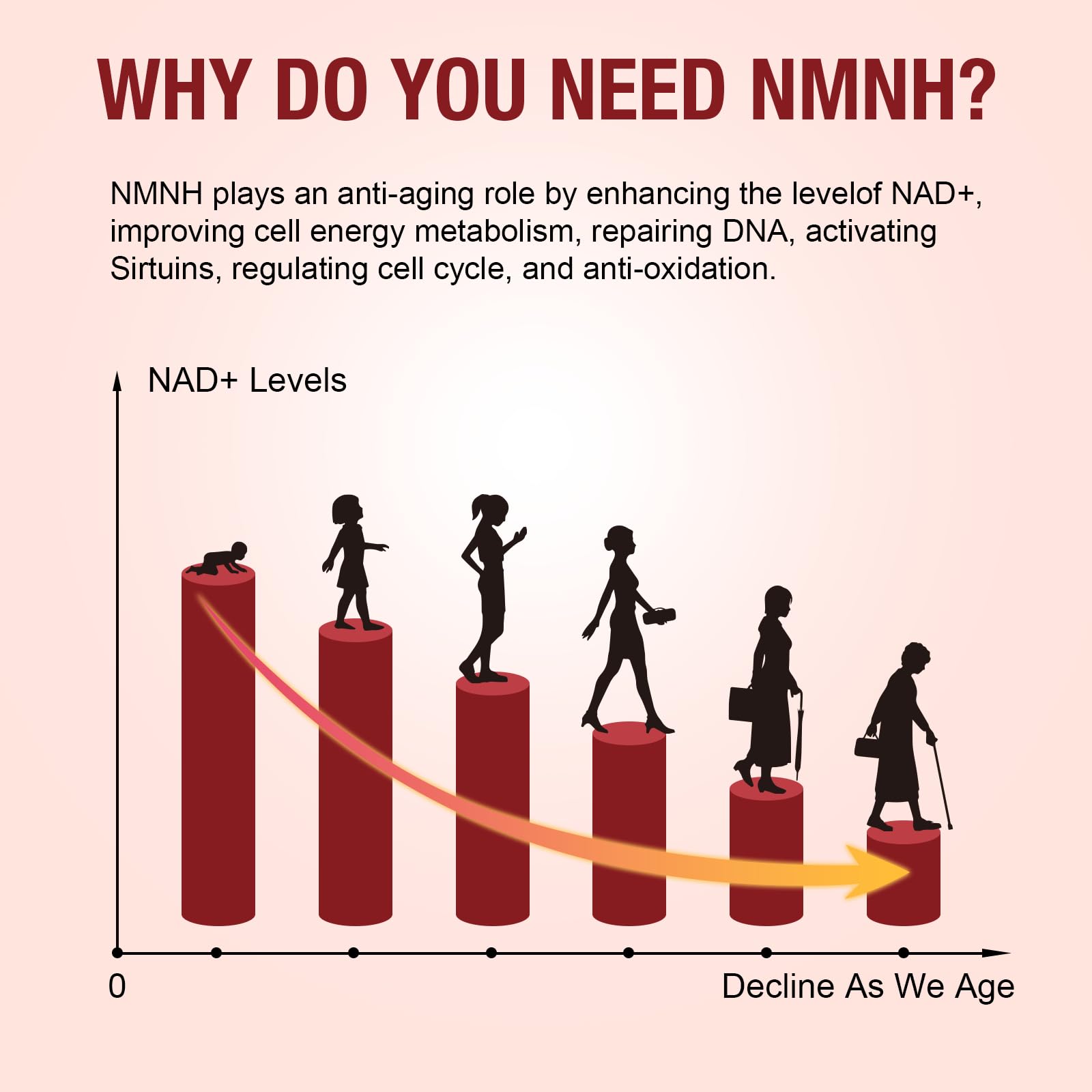 Patxans NMNH Gummies on shelf, attractive display for quick choice.