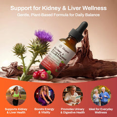 Pavintrix Kidney Cleanse Drops 14-herb blend promotes natural detox pathways