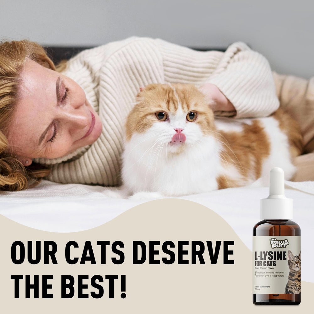Paw & Purr Lysine 50ml bottle photographed beside a cat bowl.